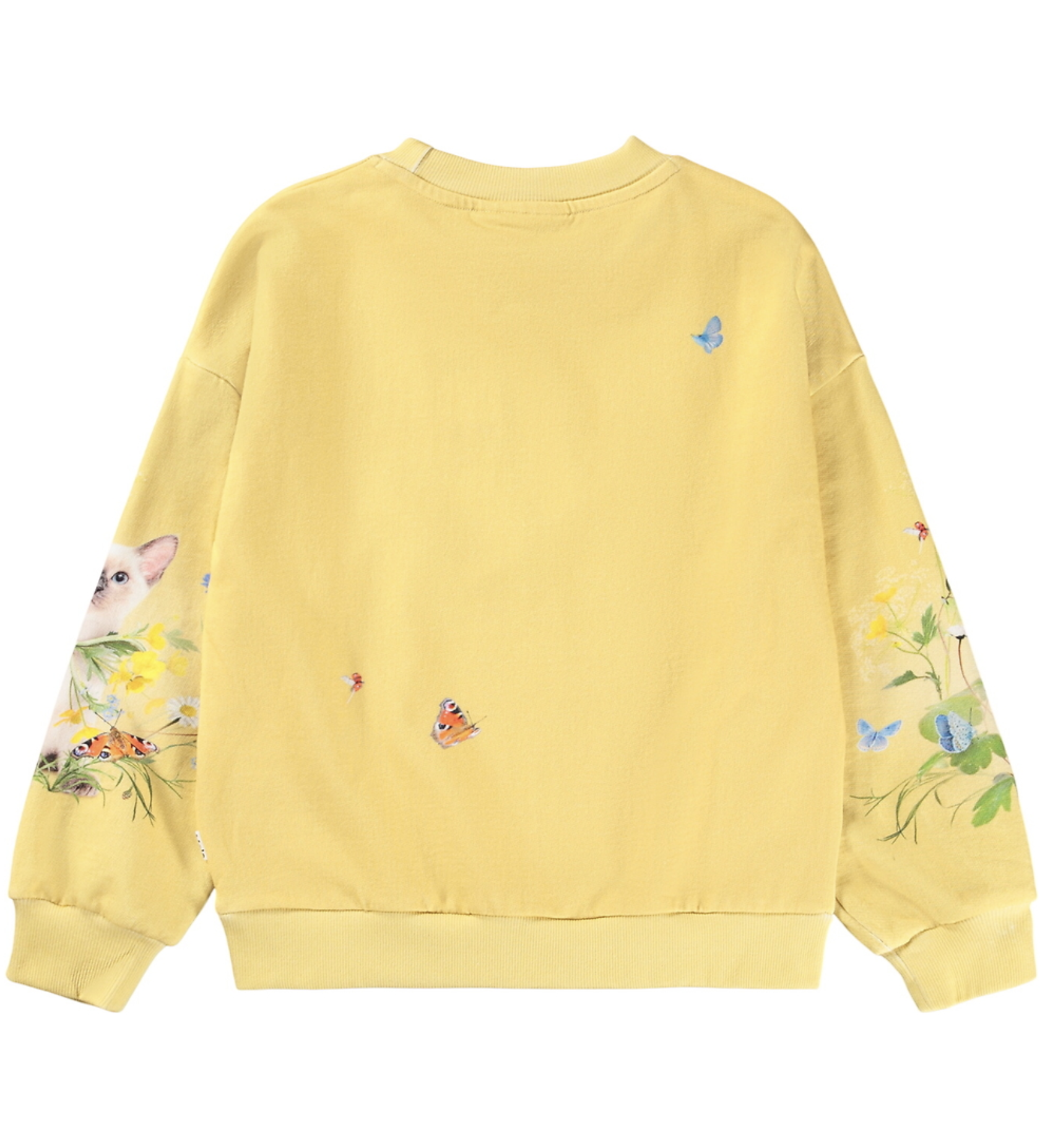 molo molo nature bow sweatshirt