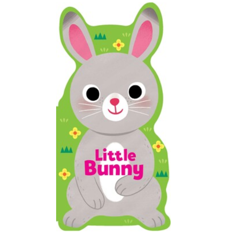 silver dolphin little