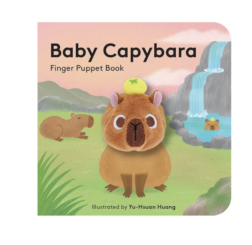 hachette baby
