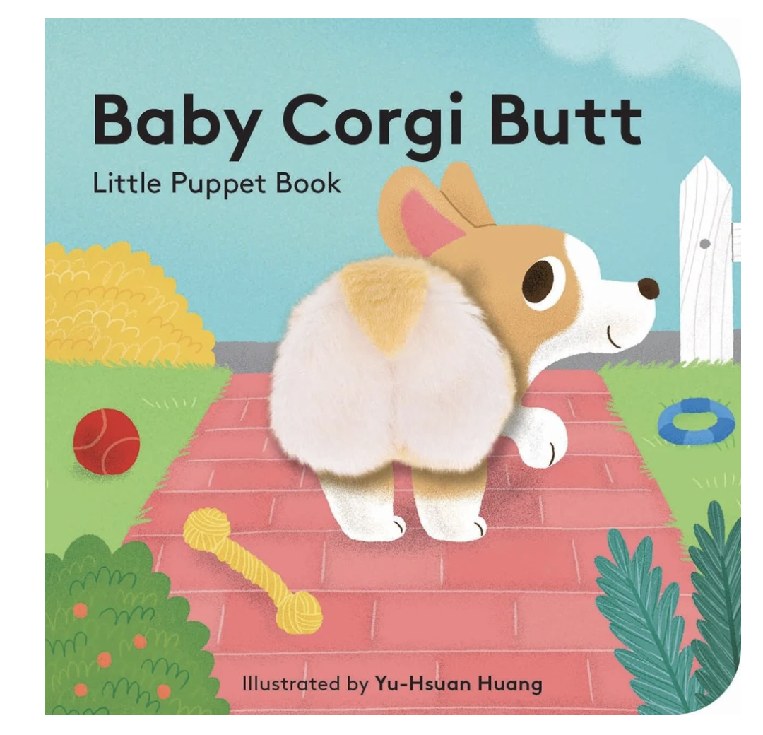 hachette baby