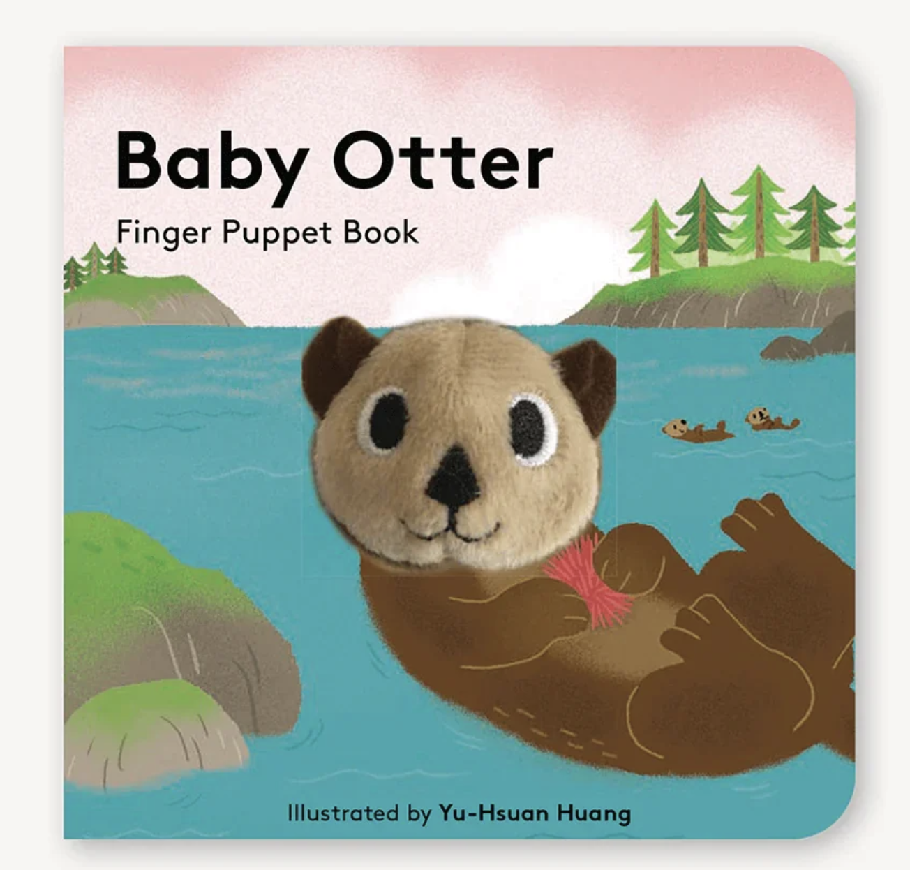 hachette baby