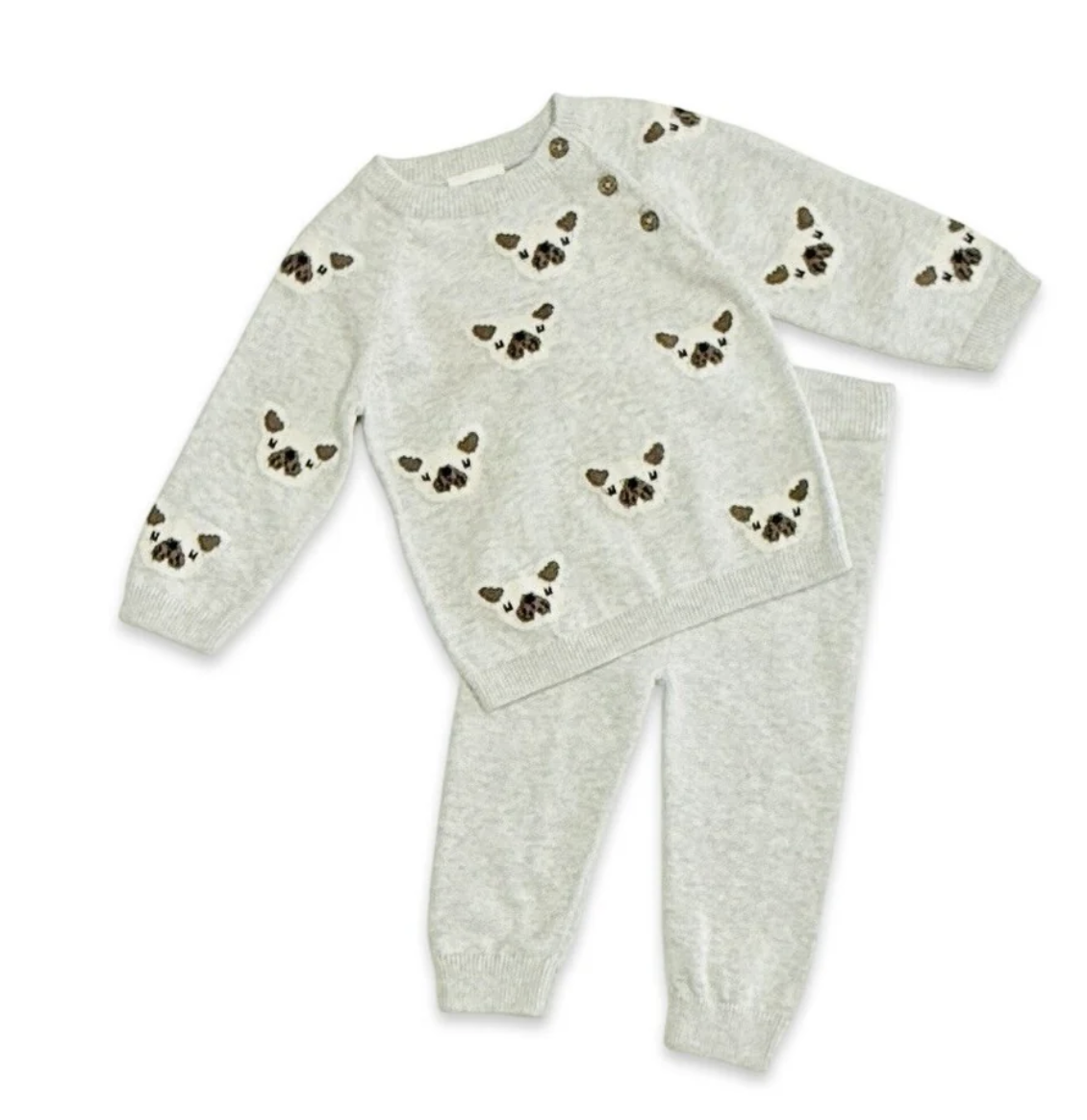 viverano organic puppy pullover & pant set