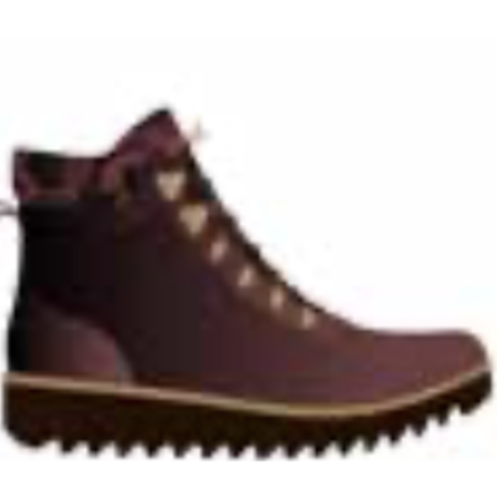 Jambu Jambu Rainey WP Hiker Boot (W)