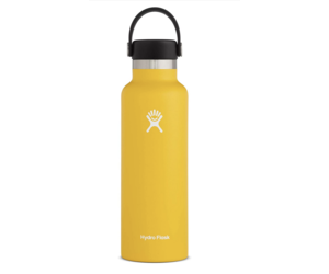 HydroFlask Standard Mouth with Flex Cap 21 oz - Black – The Heel