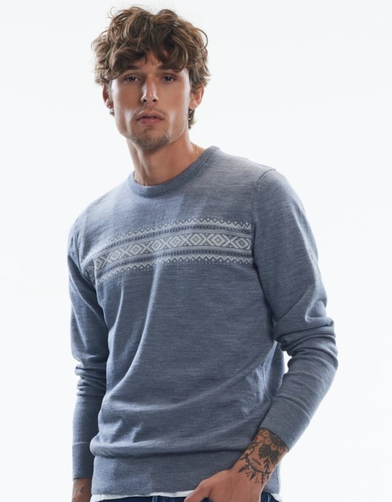 Dale of Norway Dale Sverre Masc Sweater (M)