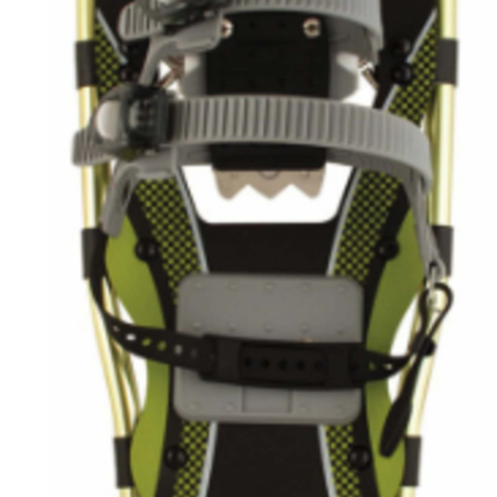 Expedtion, Inc. Expedition Truger Trail Series Snowshoe 9X30
