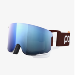 POC USA POC Nexal Clarity Comp Alpine Goggle (A)