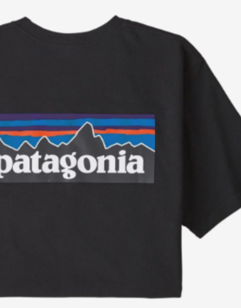 Patagonia Patagonia  M's P-6 Logo Responsibili-Tee (M)