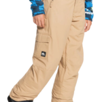 Quiksilver Quiksilver Porter Pant  (Y)