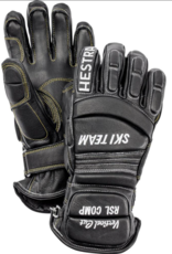 Toad  & Co Hestra RSL Comp Vertical Cut Glove