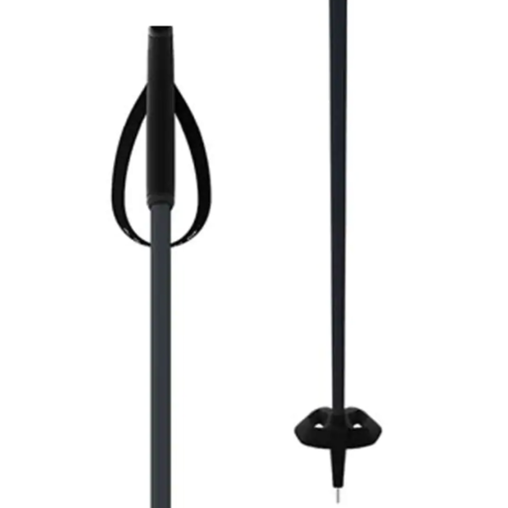 Fischer Skis Fischer One-Way BC Offtrack Nordic Pole (A)