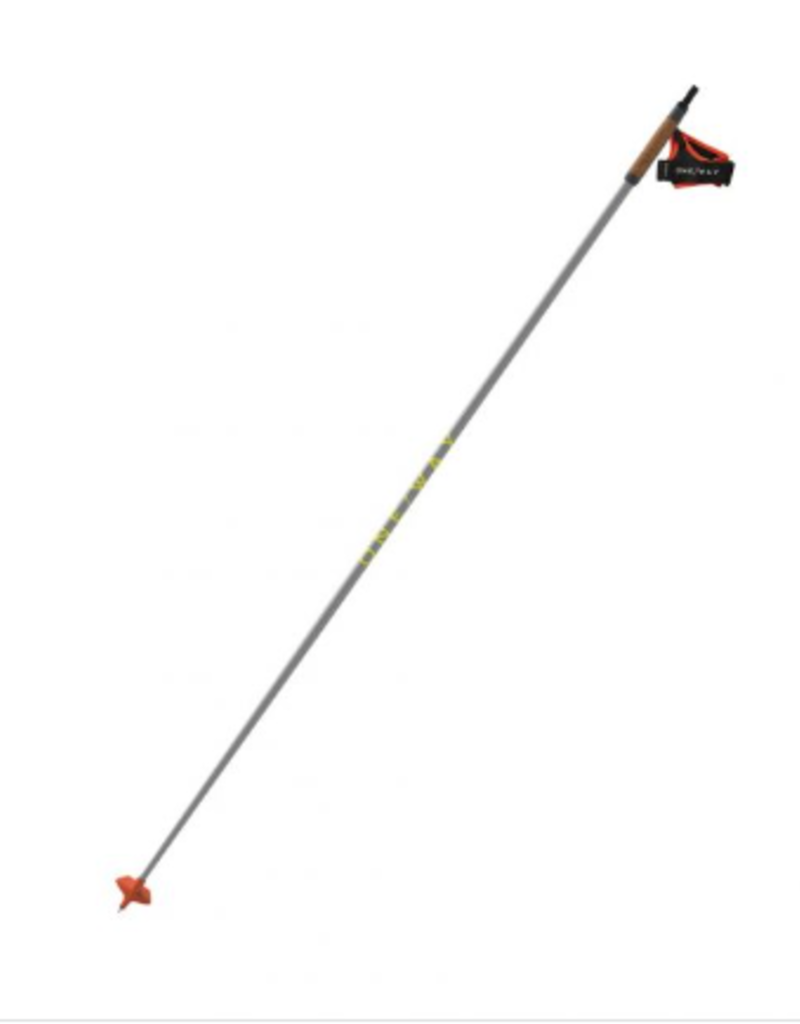 Fischer Skis Fischer One-Way Storm 6 Nordic Pole (A)