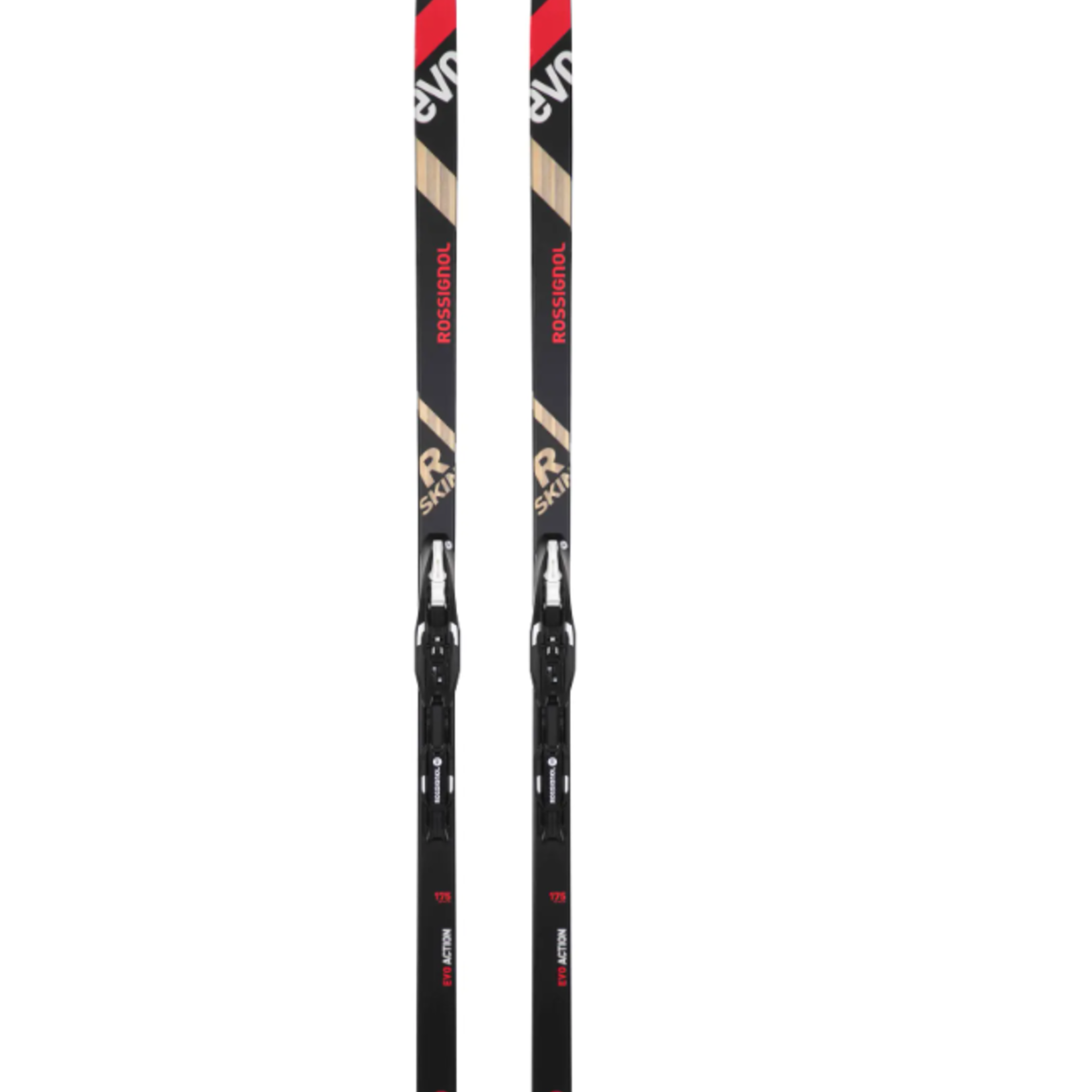 Rossignol Rossignol EVO XC 55 R-skin w/ IFP/Control Nordic Ski (A)