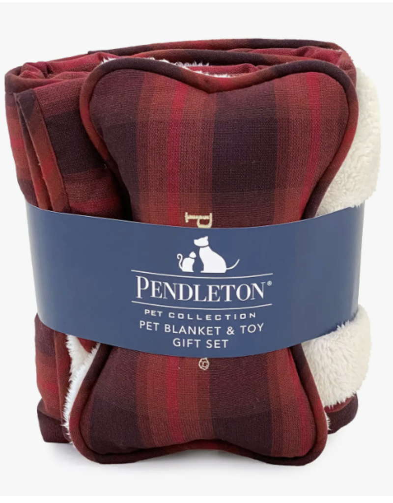 Pendleton Pendleton Plush Throw and Bone for Dogs