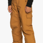 Quiksilver QS Porter Pant (Y)