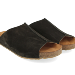 Haflinger Haflinger Fortuna (W)