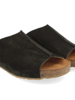 Haflinger Haflinger Fortuna (W)