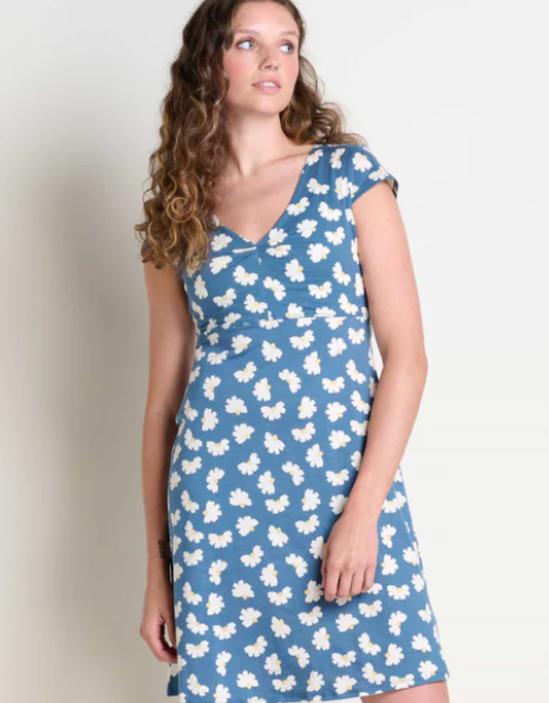 Toad  & Co Toad Co Rosemarie Dress (W)