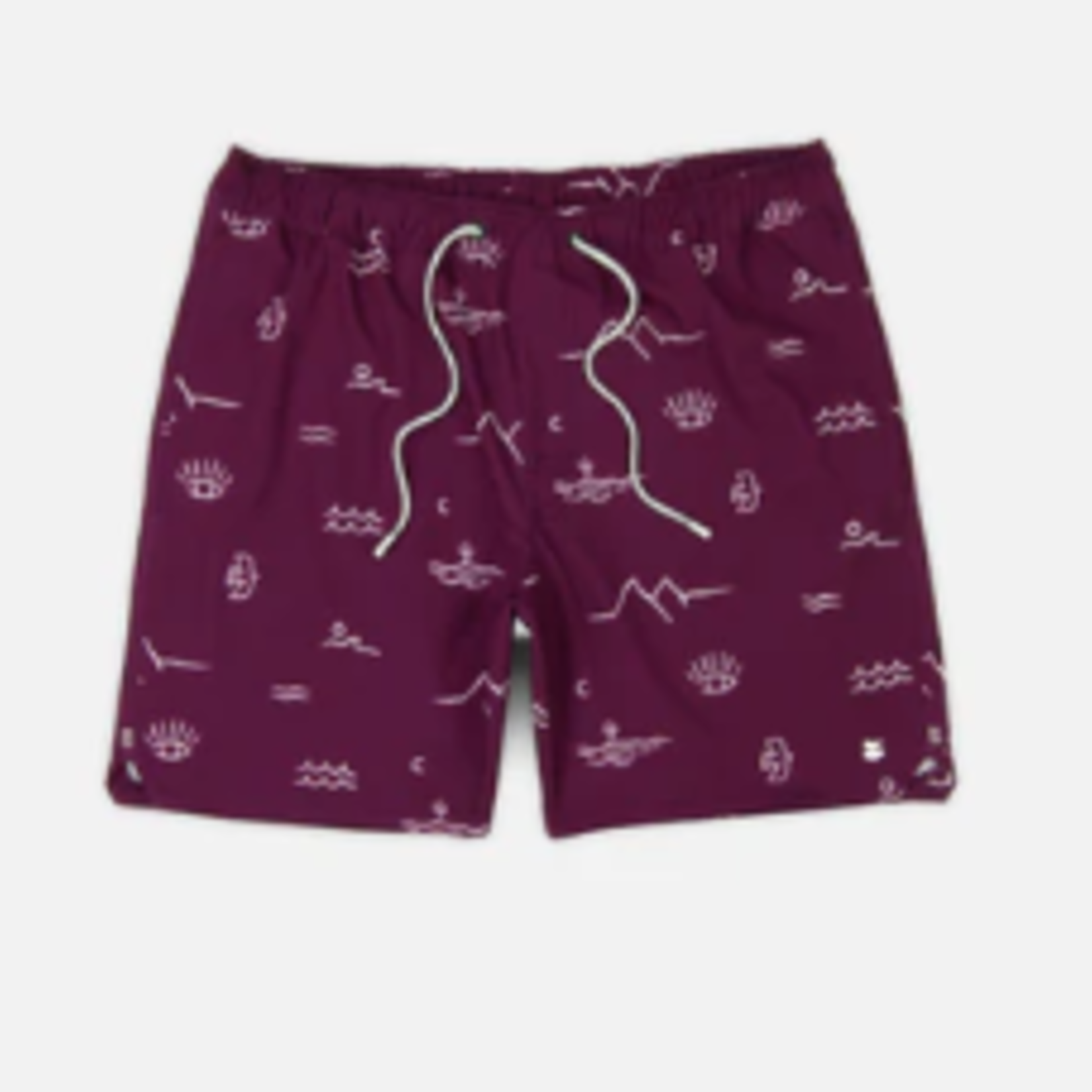 Jetty Jetty Bayside Volley Short (M)