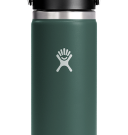 Hydro Flask North America and Distributors HYDROFLASK 20 OZ WIDE FLEX CAP FIR