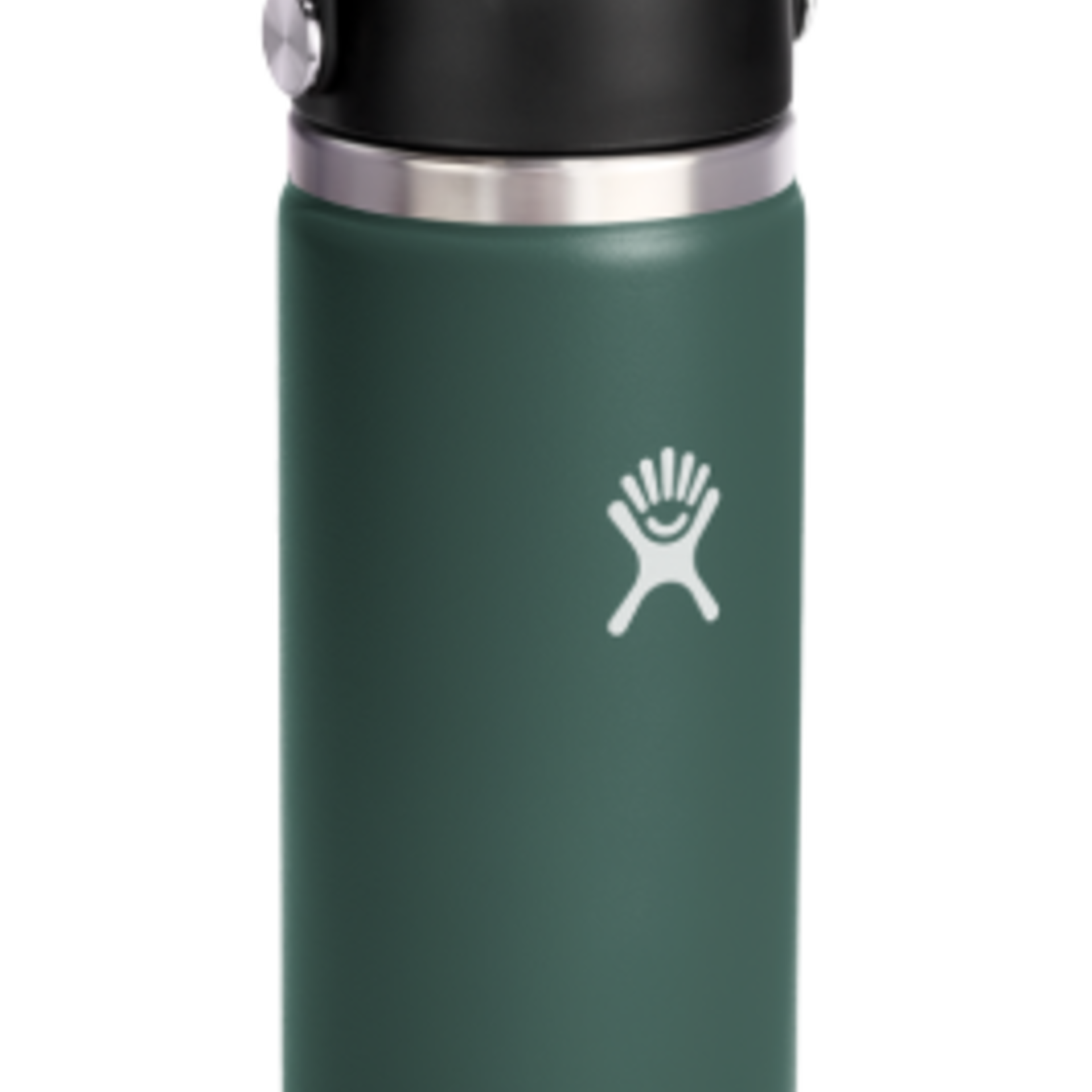 Hydro Flask North America and Distributors HYDROFLASK 20 OZ WIDE FLEX CAP FIR