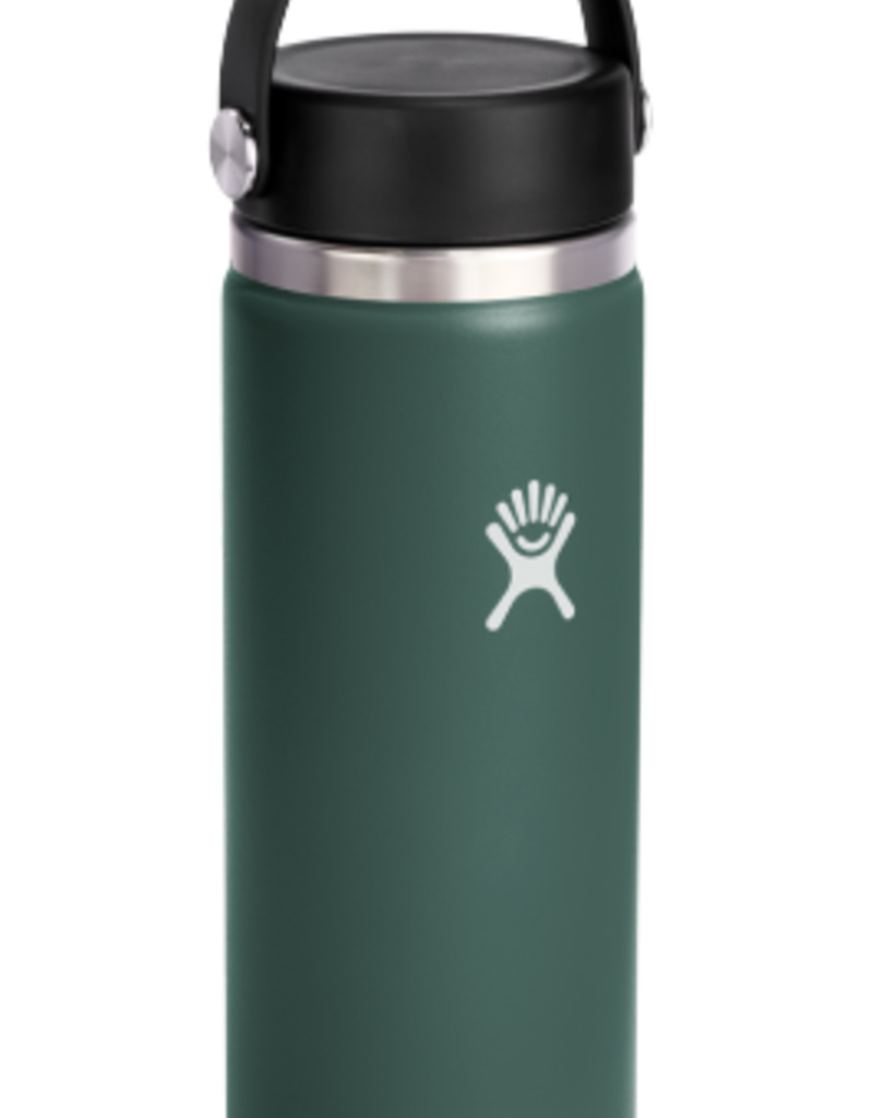 Hydro Flask North America and Distributors HYDROFLASK 20 OZ WIDE FLEX CAP FIR