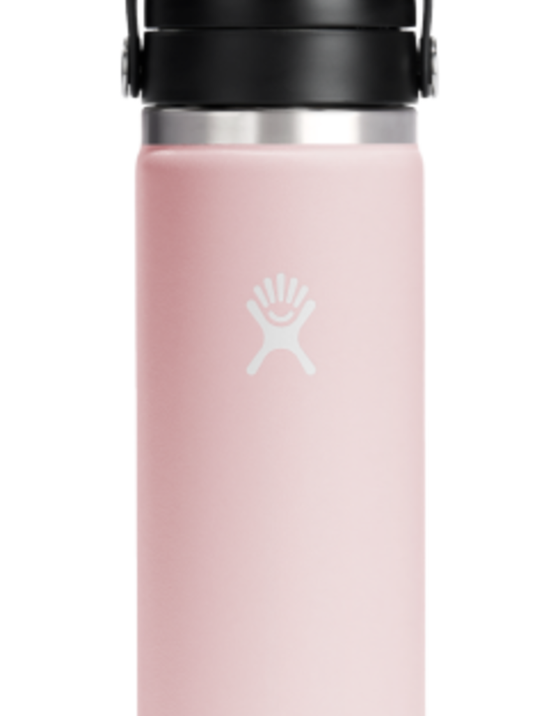 Hydro Flask North America and Distributors HYDROFLASK 20 OZ WIDE FLEX SIP LID TRILLIUM