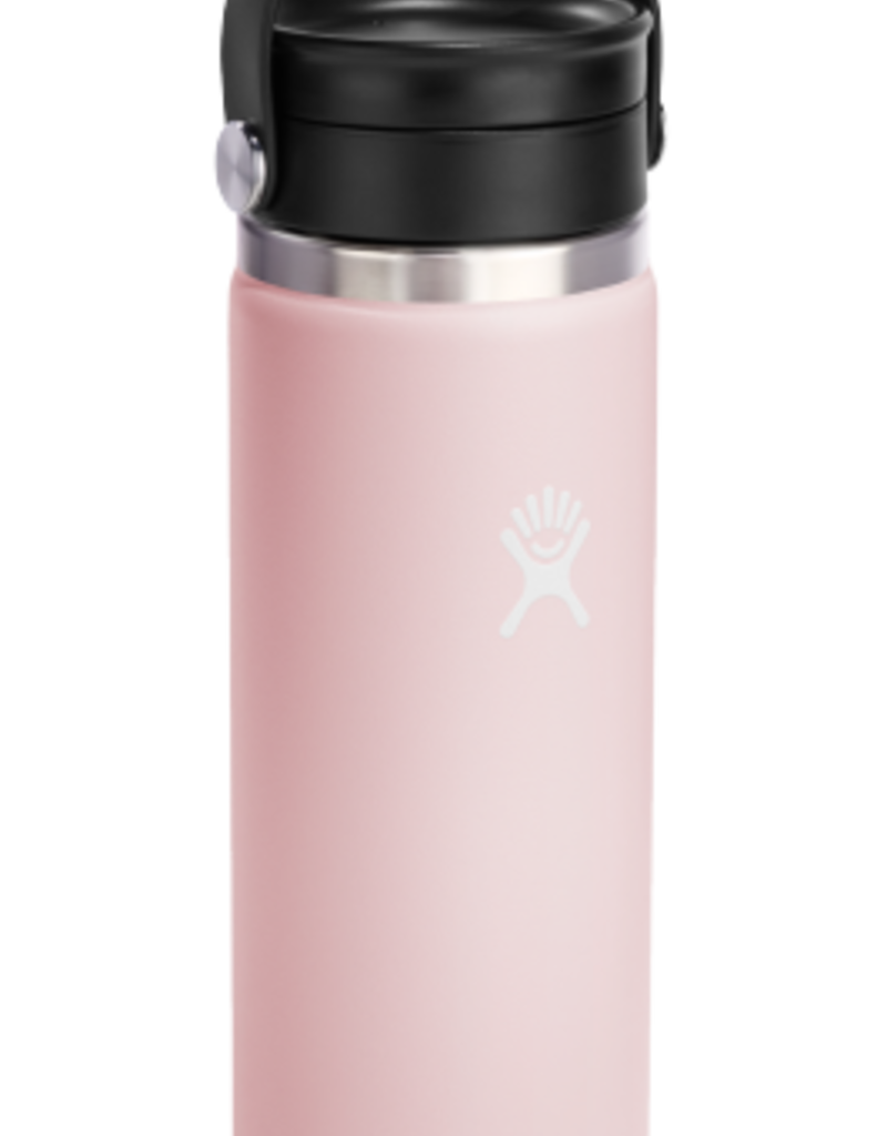 Hydro Flask North America and Distributors HYDROFLASK 20 OZ WIDE FLEX SIP LID TRILLIUM