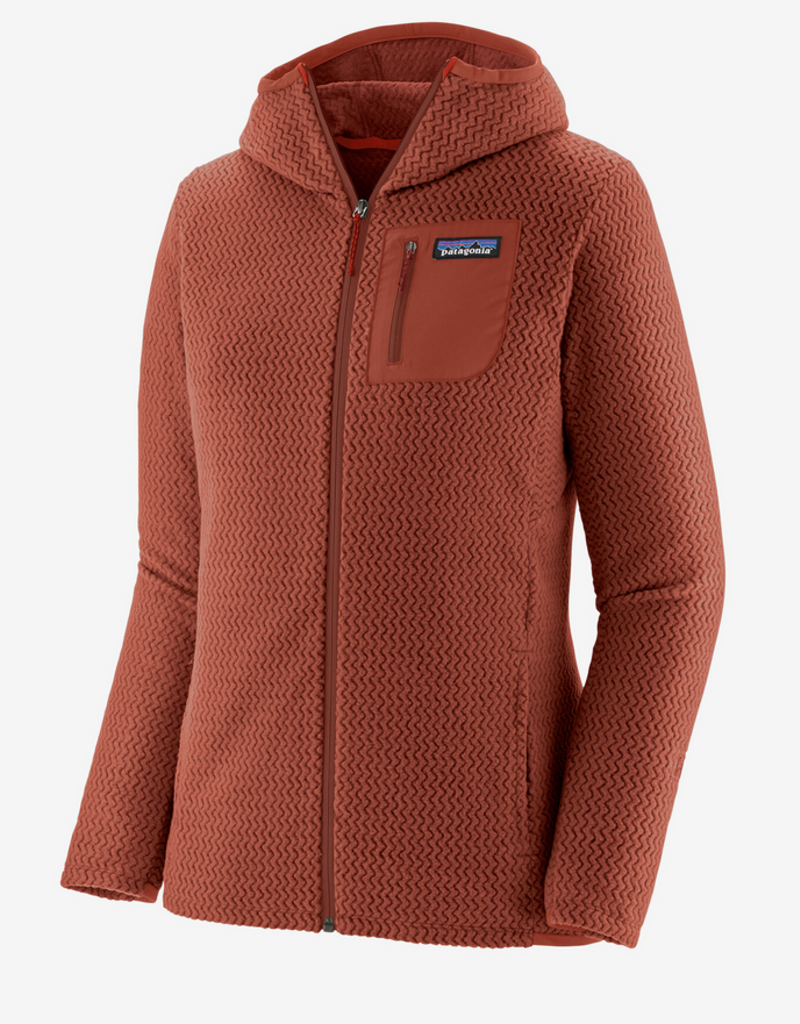 R1 patagonia full zip sale