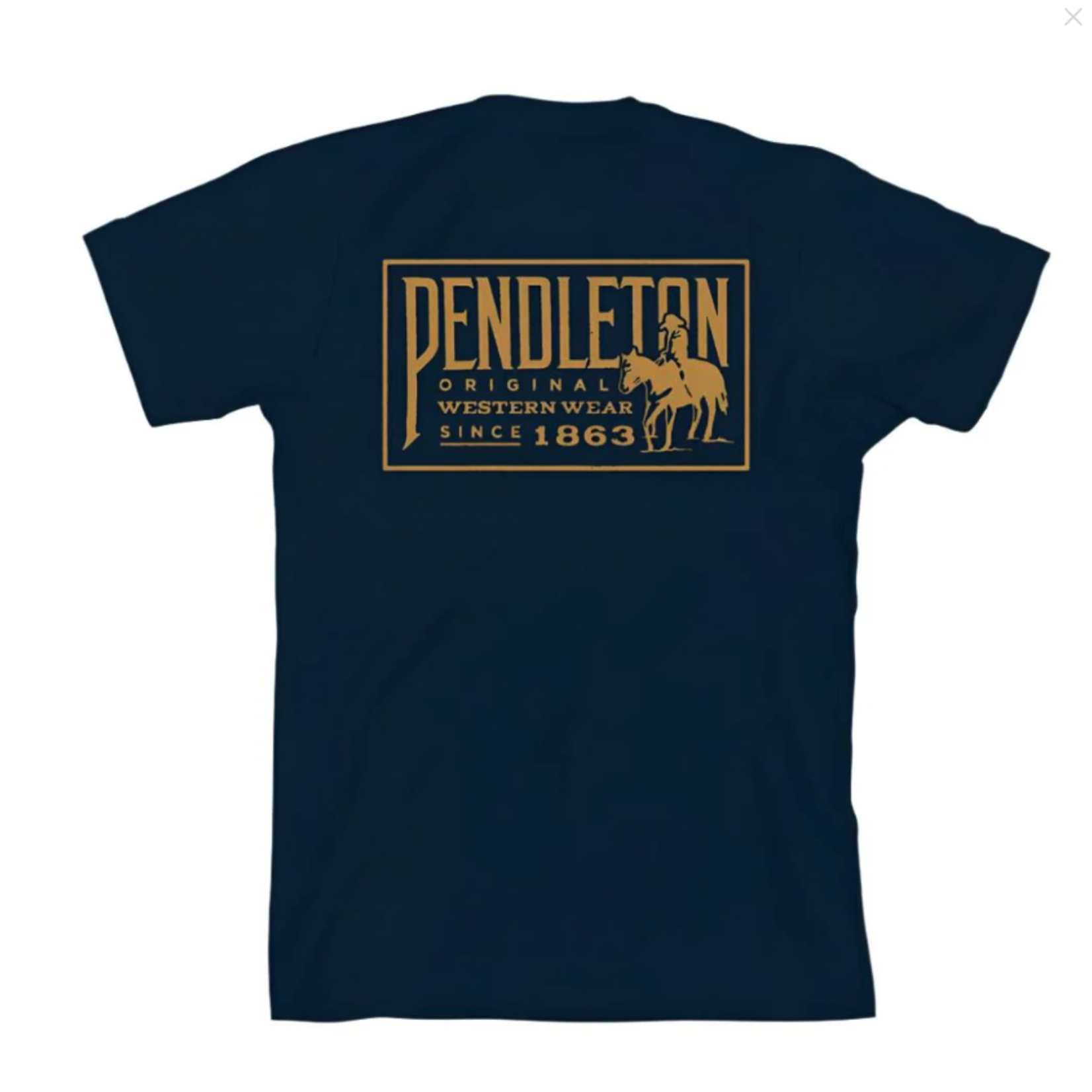 Pendleton Pendleton Original Western Graphic Tee (M)