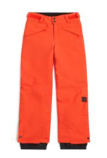 O'Neill Oneill Anvil Snow Pant (Y)
