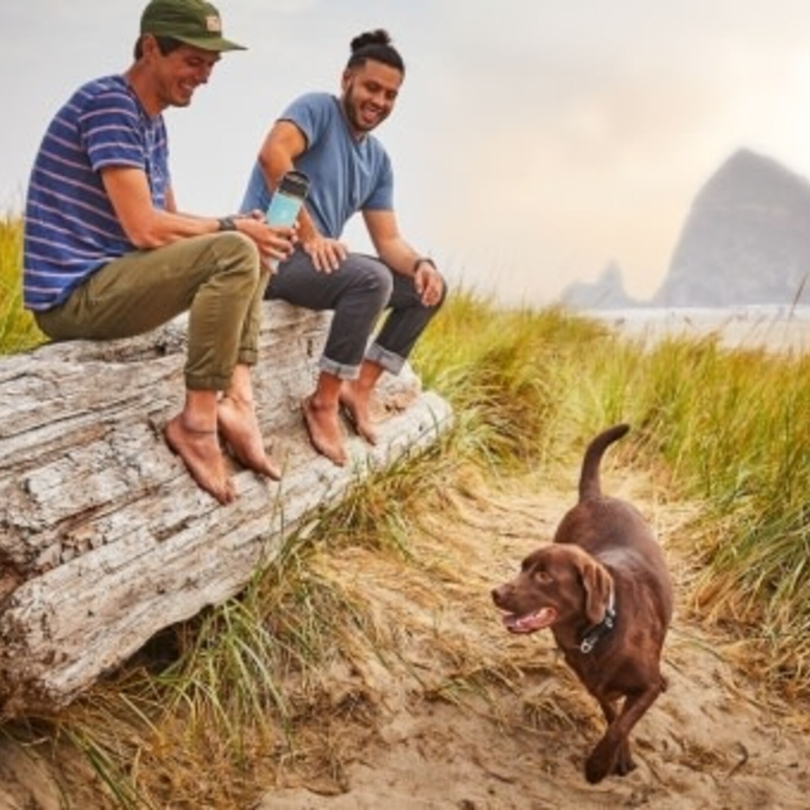 Hydro Flask North America and Distributors HYDRO FLASK 16 OZ WIDE MOUTH FLEX SIP LID