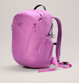 Arcteryx Arcteryx Mantis 26 Backpack