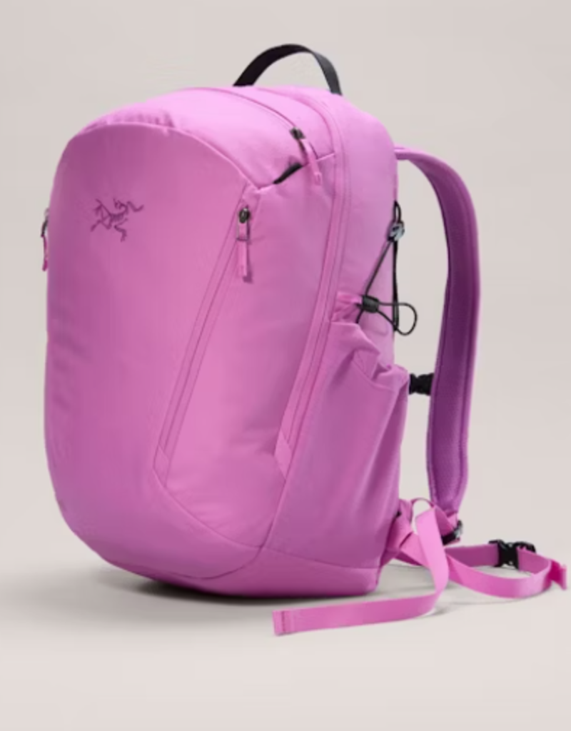 Arcteryx Arcteryx Mantis 26 Backpack