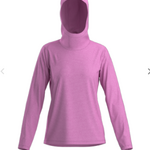 Arcteryx Arcteryx Teama Hoody (W)