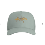 Arcteryx Arcteryx Bird Word Trucker Hat