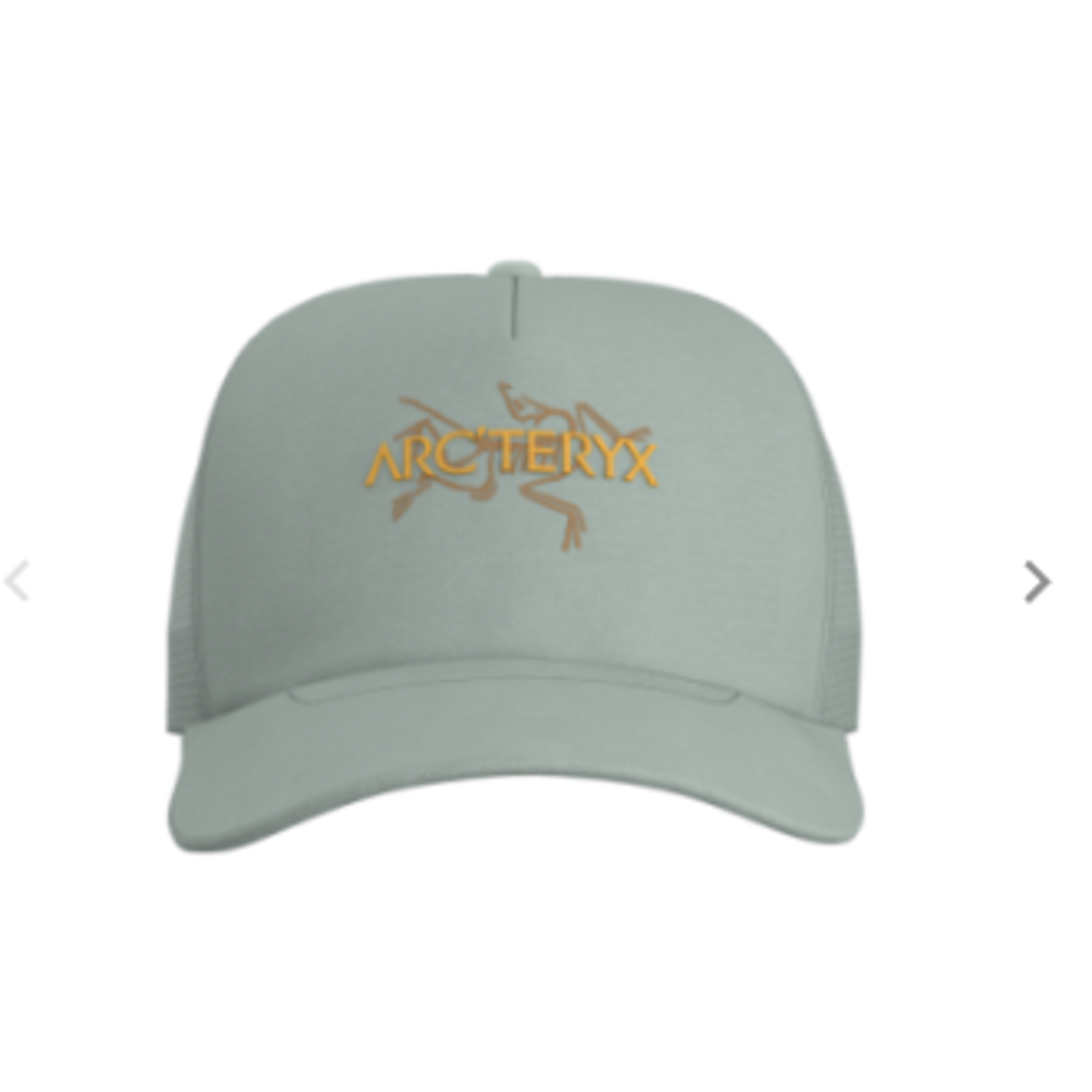 Arcteryx Arcteryx Bird Word Trucker Hat