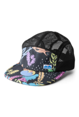 Kavu Kavu Drift Creek