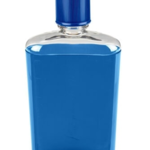 Nalgene Nalgene Flask 10 OZ