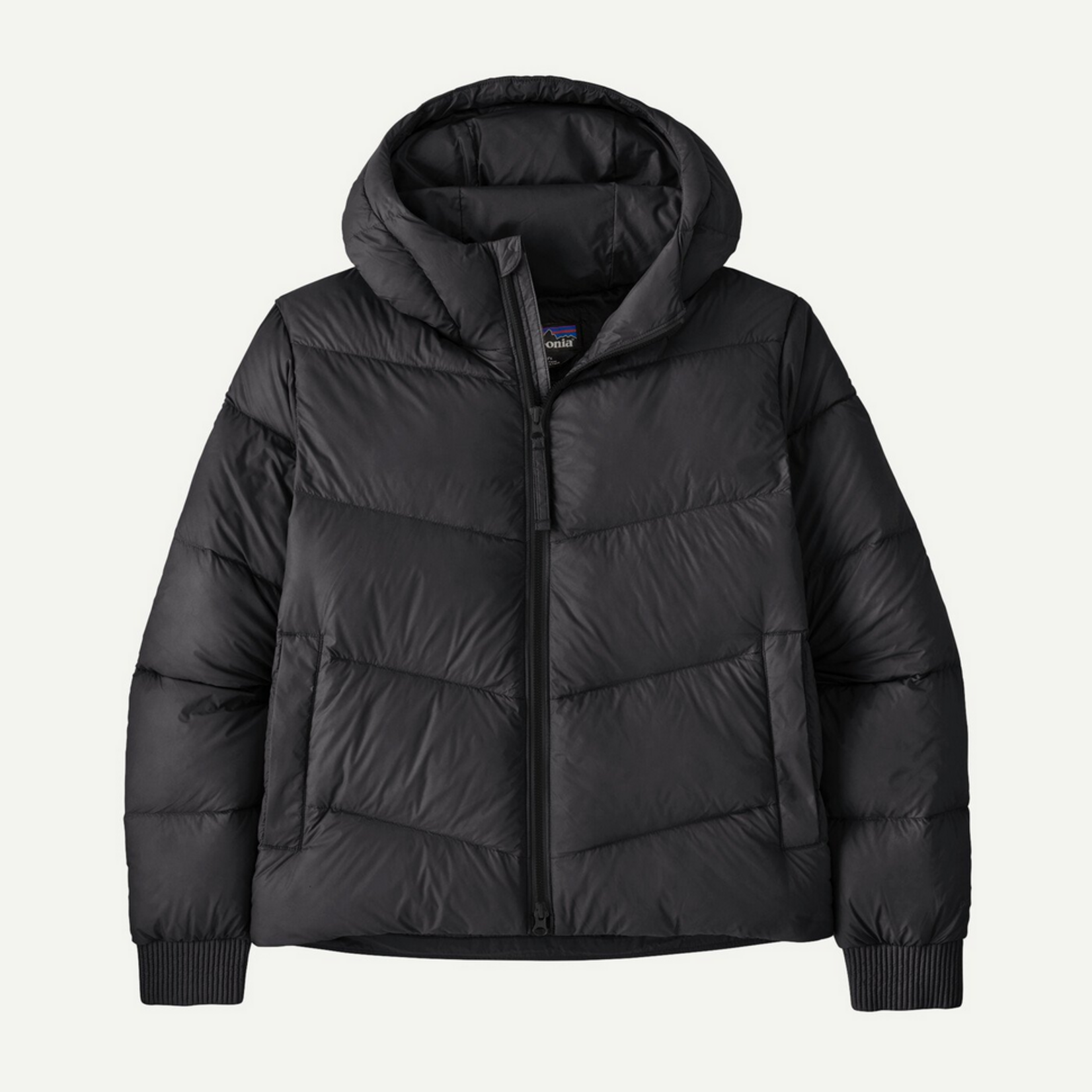 Patagonia Patagonia Sindit Hoody Jkt (W)