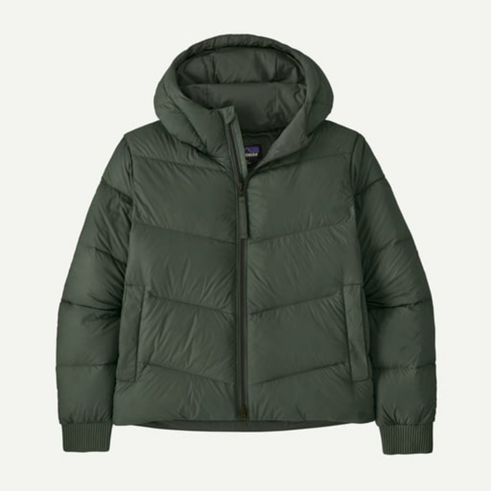 Patagonia Patagonia Sindit Hoody Jkt (W)