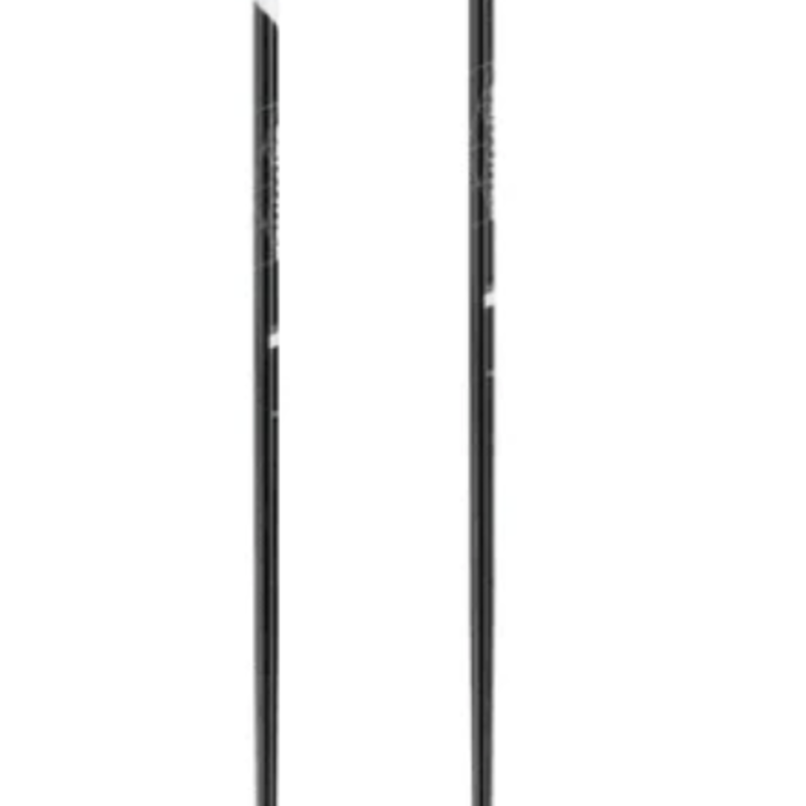 Leki USA Leki Sentinel Alpine Pole (A)F25