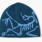 Arcteryx Arcteryx Word Head Toque Nightscape/Glacial
