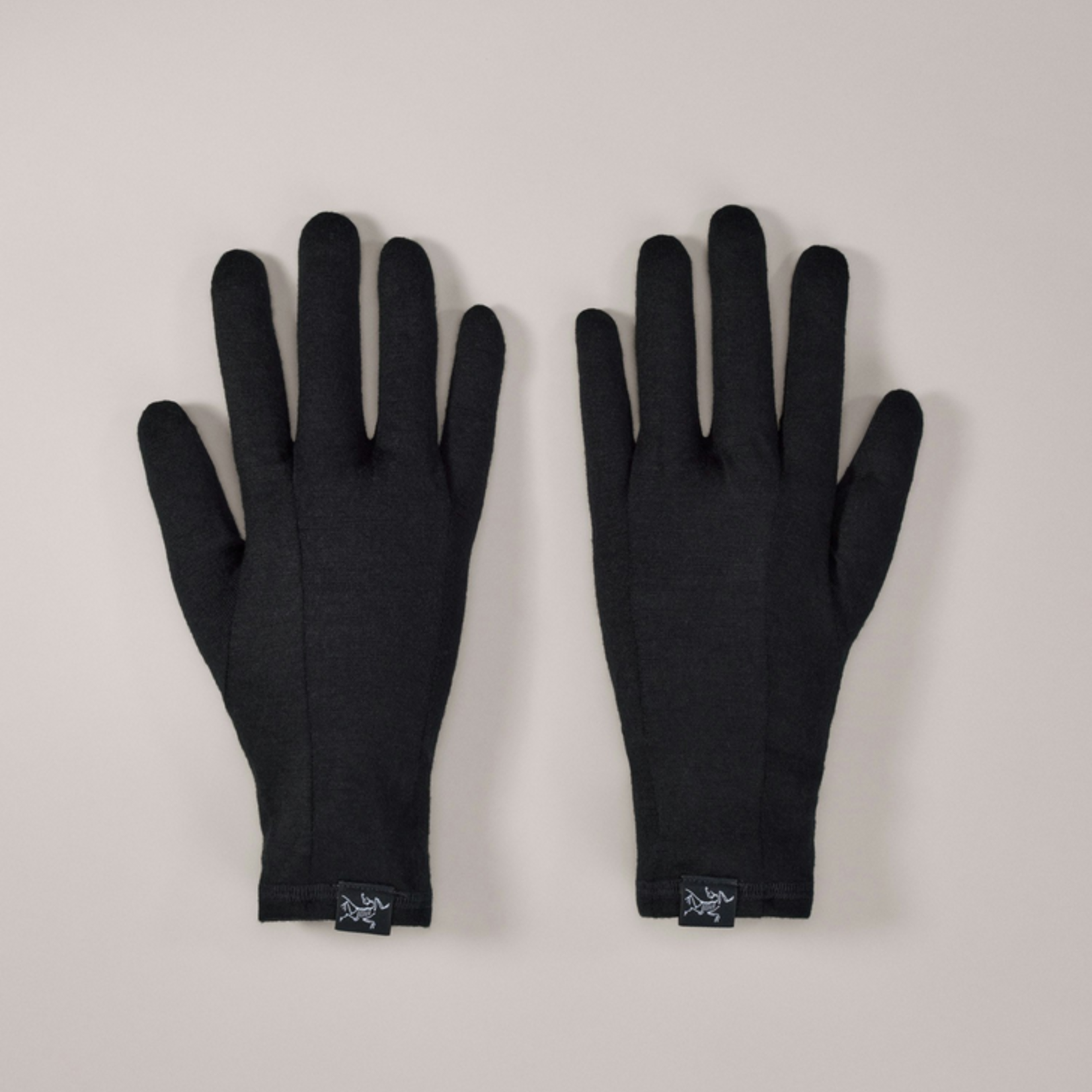Arcteryx Arcteryx Gothic Glove