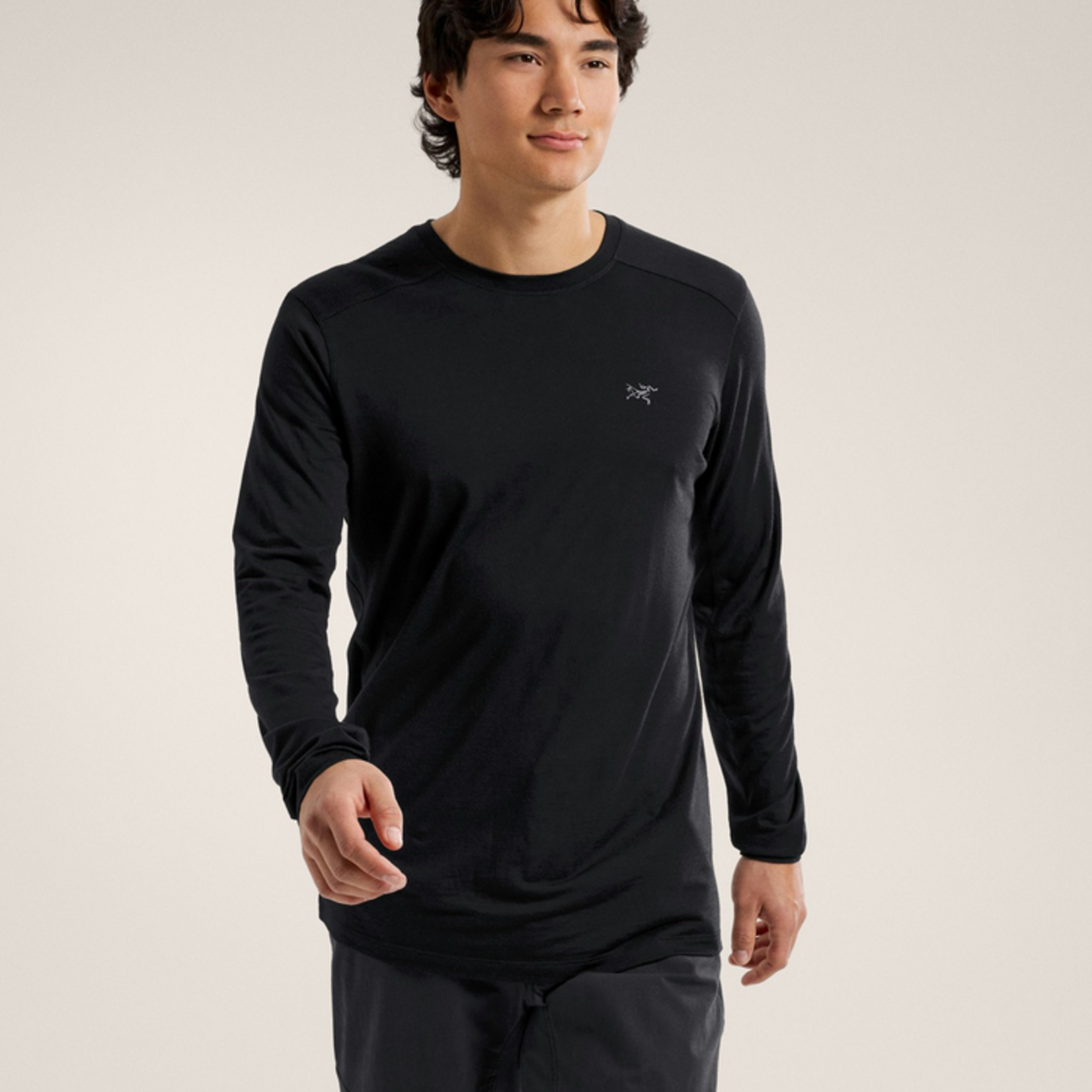 Arcteryx Arcteryx Rho Merino Wool Crew (M)