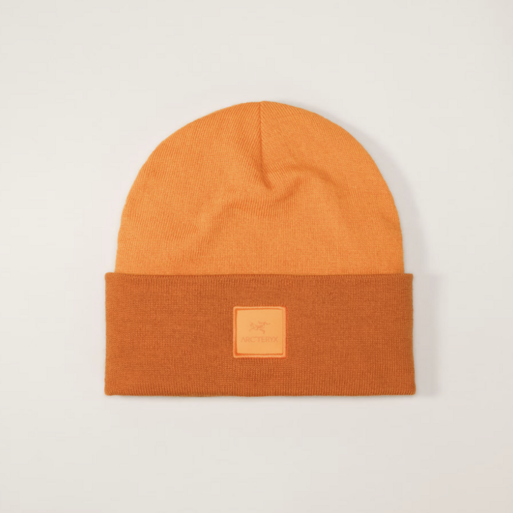 Arcteryx Arcteryx Color Block Toque