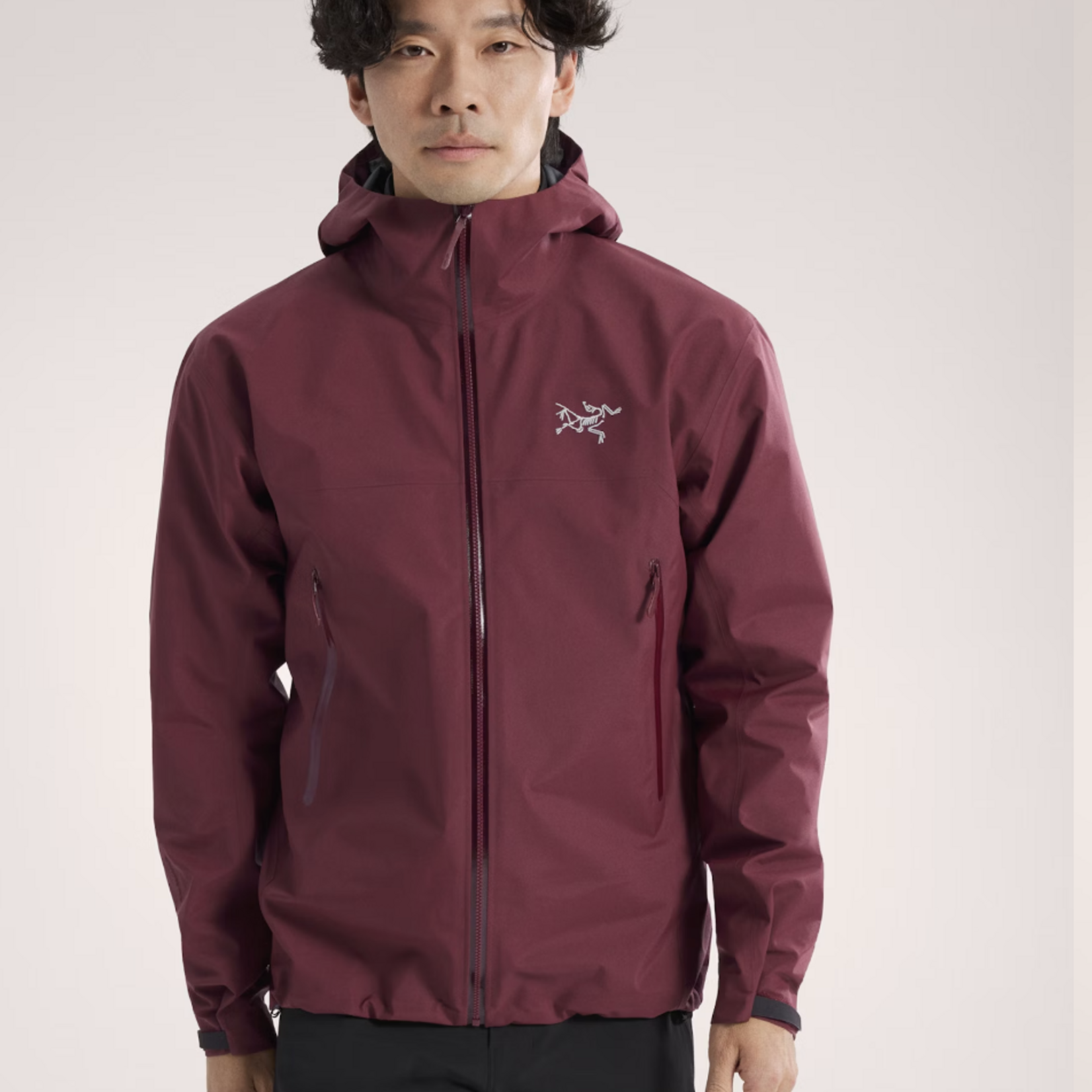 Arcteryx Arcteryx Beta Jacket (M)