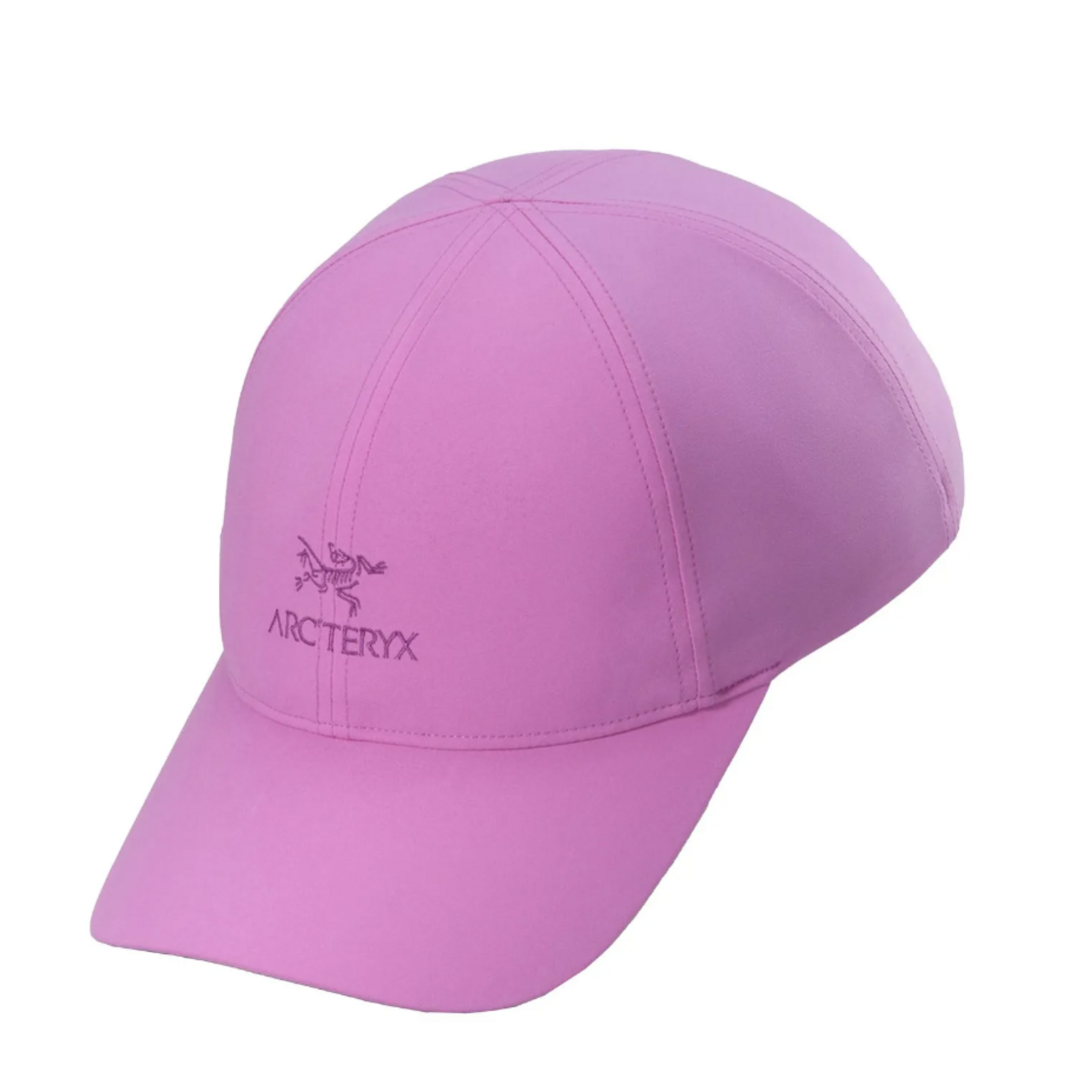 Arcteryx Arcteryx Bird Word Cap