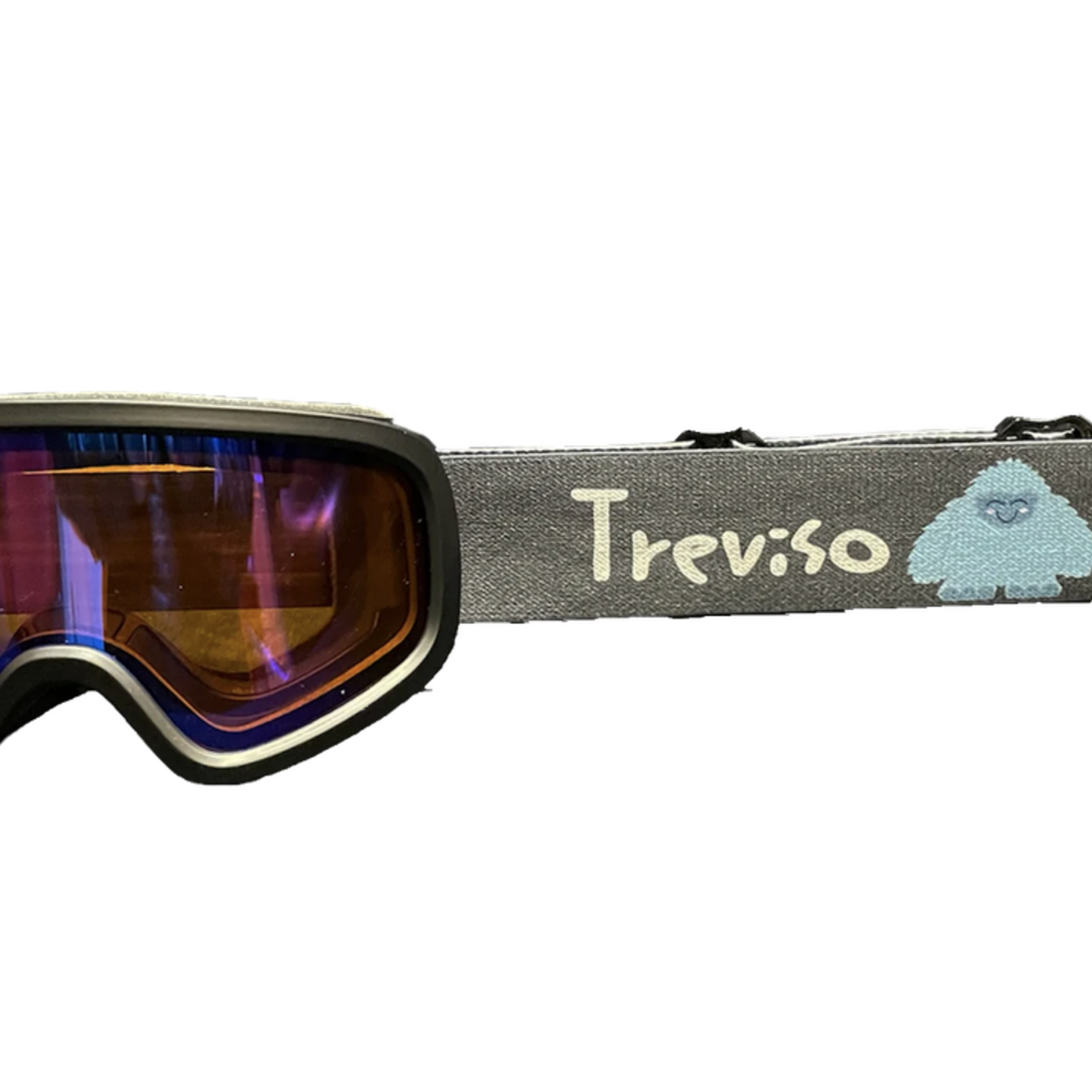 Treviso Treviso Prime S Alpine Goggle (YTH)F25