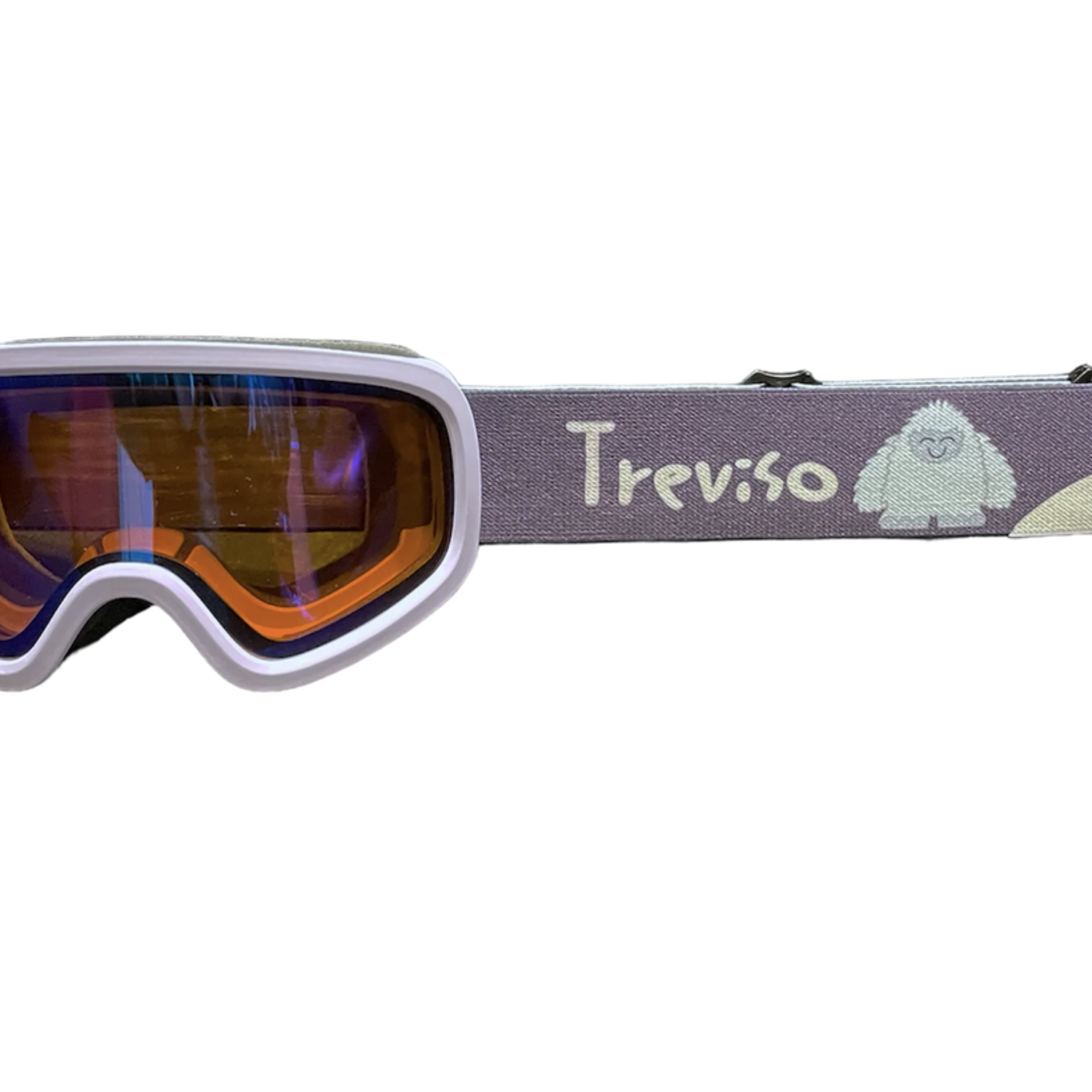 Treviso Treviso Prime S Alpine Goggle (YTH)F25